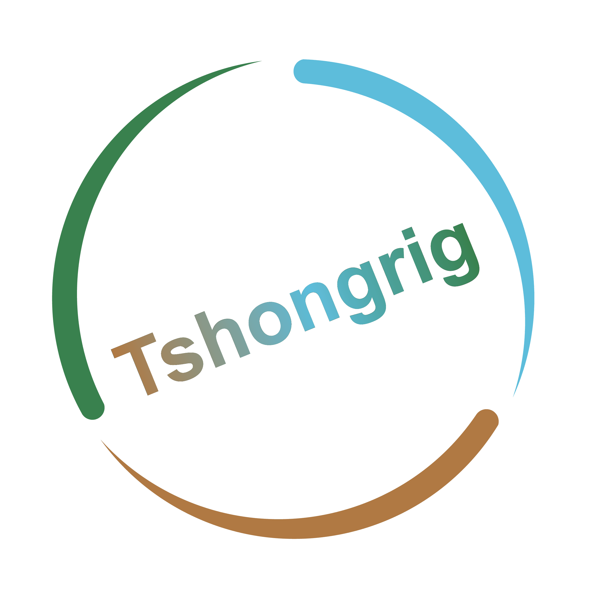Tshongrig logo